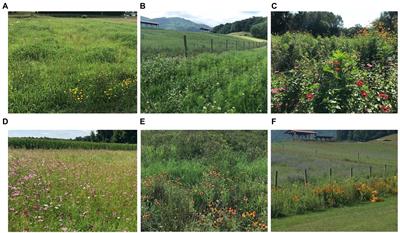 Planted pollinator habitat in agroecosystems: How does the pollinator community respond?